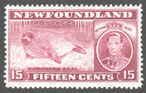 Newfoundland Scott 239 Mint VF (P13.7) - Click Image to Close